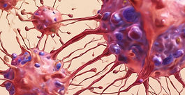 Take my breath away—mitochondrial dysfunction drives CD8+ T cell exhaustion