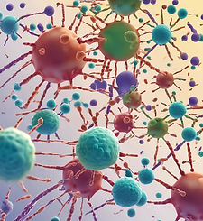 Neoantigens drive adoptively transferred CD8 T cells to long-lived effectors mediated by lymph node trafficking