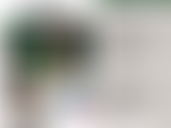 Infolettre #1 - 02 Mai 2023 : Nouveau Site Web