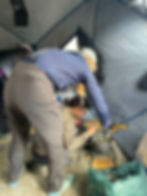 Action within the kitchen tent