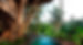 GreenVillage-Pool.jpg