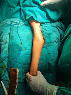 photo_2025-04-11_17-58-07 (2)