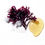 Miniaturbild: MARIA GALLAND LOTION SOYEUSE 64