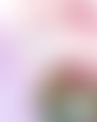 🌸 Cherry blossom season is here. And so is your smile moment🌸