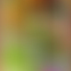 TROPPA SCELTA NON PORTA AD UNA SCELTA