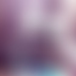 GIOVEDI' 10 DICEMBRE - NASINO CONGELATO