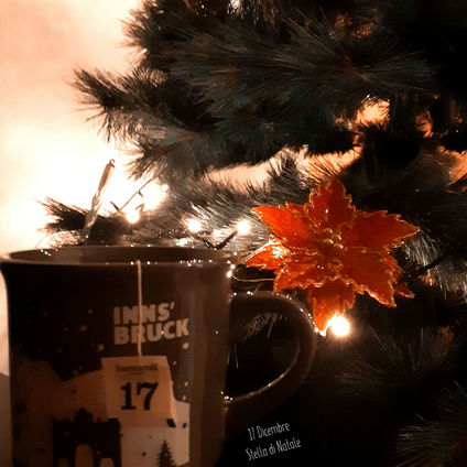 GIOVEDÌ 17 DICEMBRE - STELLA DI NATALE