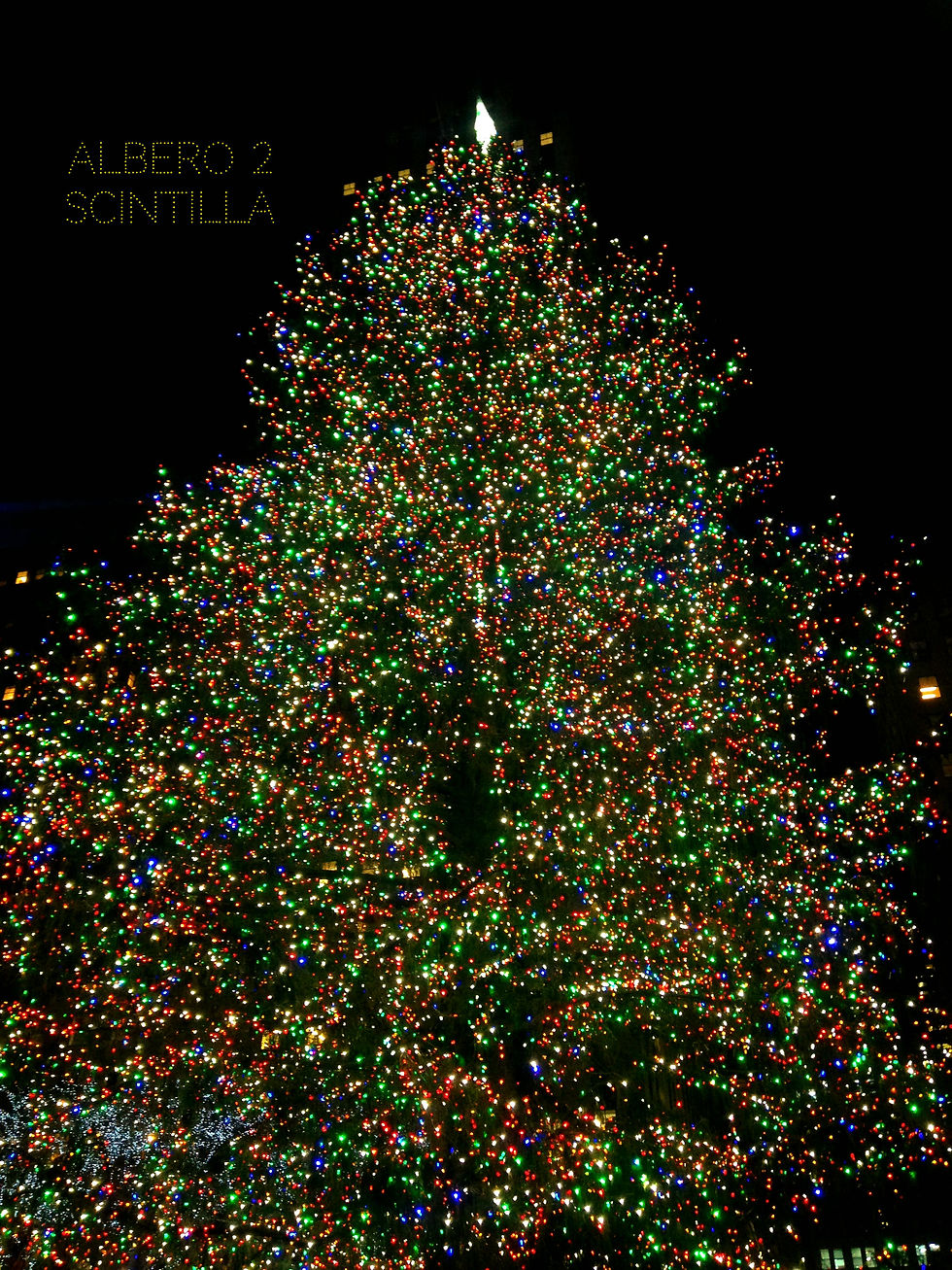 Albero n. 2 - SCINTILLA