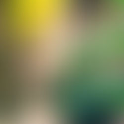 L' ispirazione va ricercata o è lei a trovare noi?