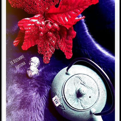 VENERDÌ 18 DICEMBRE - FORTUNA