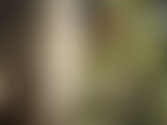 Albero n. 4 - ELEGANZA