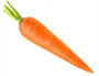 sargarepa.png