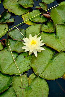 5957F6B6-71DB-4F05-AFFF-07076E64E6F6