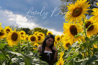 3F35A656-287F-4B28-BFD4-6866F0BE0790