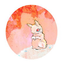 innocent bunny