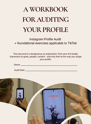 Cover of A workbook for auditing your profile