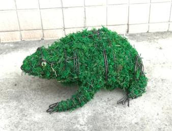 Frog topiary with green moss.jpg