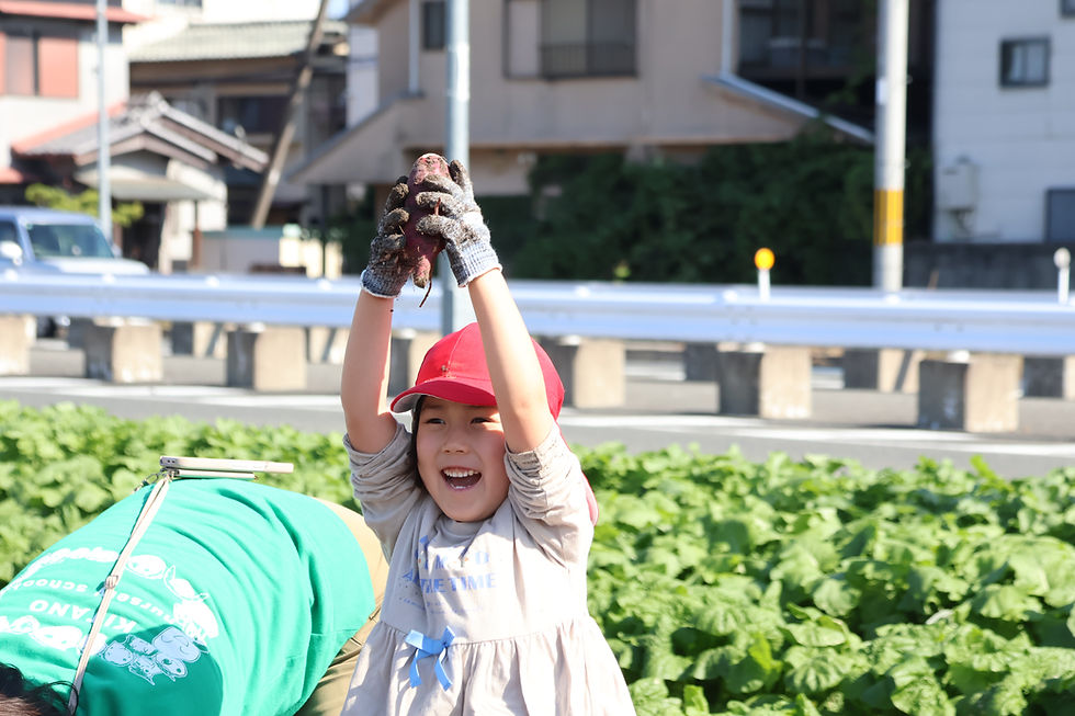 芋ほり遠足(秋).JPG