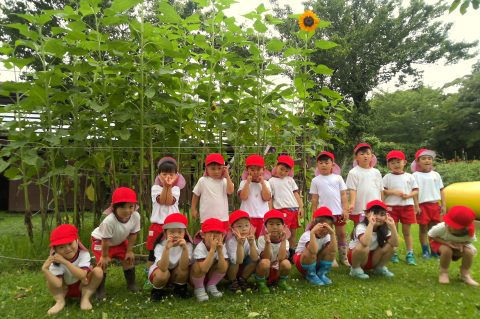 保育園の子供達がひまわりの前でポーズ。6月【年少々】今週の様子です。夏を感じる一枚。
