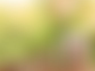 ポイントプログラムは共通ポイント？自社ポイント？それぞれのメリットとデメリット