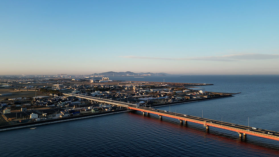 海岸の町と海にかかる長い橋の空撮