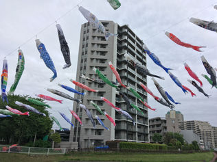 頑張って歩いたよ🎏りな先生投稿