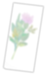 FujiyamaClarinet Studio