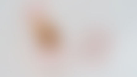 株式会社ラジャへ社名変更のお知らせ（旧社名：ラジャアンパット合同会社）