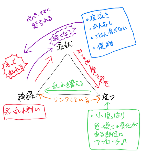 小児鍼のデータ