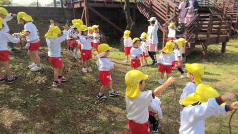 幼稚園児たちが戸外活動 5月【年少々】今週の様子 子供たちは黄色い帽子をかぶって遊んでいます