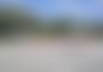 10月【年少】今週の様子