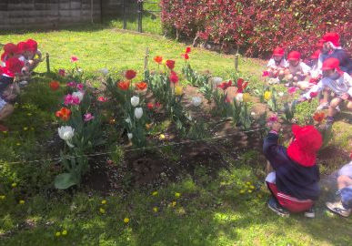 ４月【年中】今週の様子