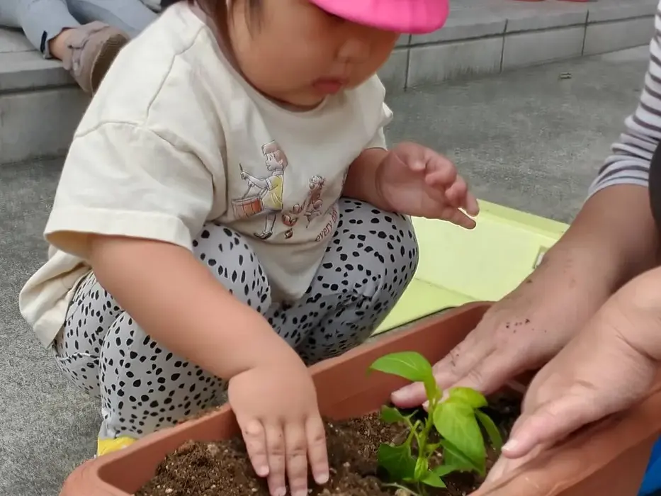 ピンクの帽子をかぶった子供が大人と一緒に植物を植えている