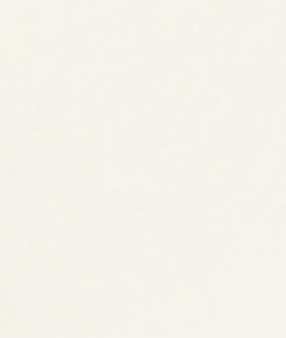 Vector 4 (1).png