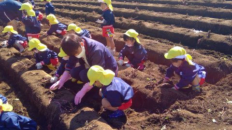 子供たちが畑で土をいじっています。7月【年少】大掃除、子供達は楽しそうに作業しています。