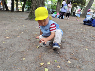 神社公園☆彡 まいか先生投稿