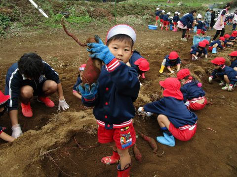 芋を持つ子供たち。土いじりをする子供達。年長組　遠足【こども宇宙科学館】 一緒に遊ぶ幼稚園児