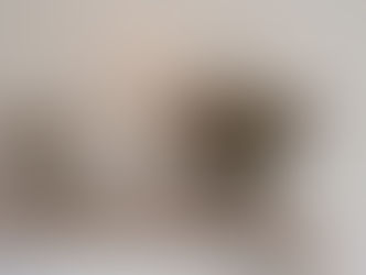 空間は、もっとやさしくなれる。スウェーデン〈Cooee Design〉がつくる、静かなかたち