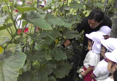 ６月【年長】今週の様子