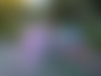 今日は・・・ かなえ先生投稿