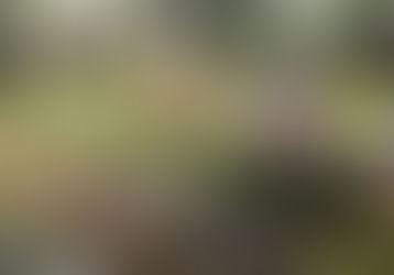 5月【年長】今週の様子