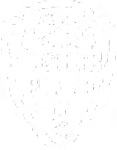 10th RISING FIELDのロゴ。山、木、焚き火のイラストが入った盾形のエンブレム。