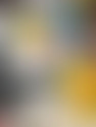 🥕初めてのおつかい(#^^#)👜