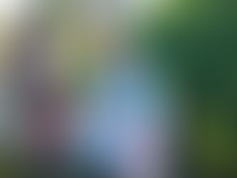 おさんぽ☆ のぶえ先生投稿