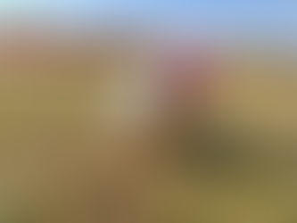 小さい春を見つけたよ♡ まいか先生投稿