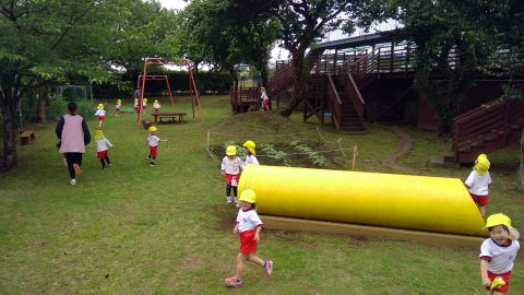 幼稚園児が遊ぶ様子、芝生の上で走り回る子供達 11月【年中】屋外の遊び場