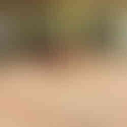 水たまりで遊ぶ園児