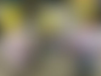 ロータリー森公園☆彡 まいか先生投稿