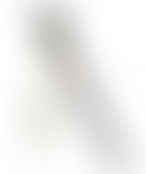 よじ登る可愛い生き物♡簪のOEMなら和心で！