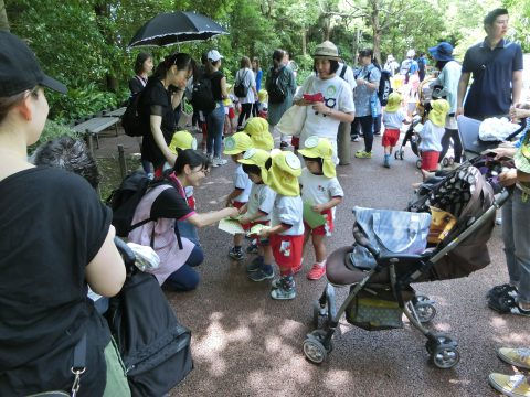 幼稚園児が公園で遠足、黄色い帽子と赤いズボン姿、5月のお誕生日会、周囲には保護者たち